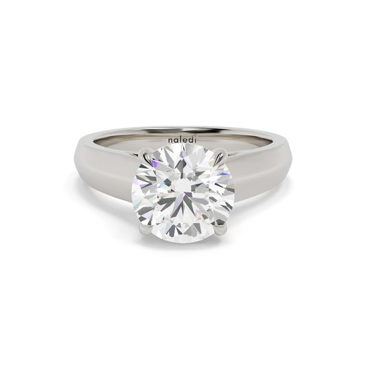 14K White Gold Cathedral Engagement Ring – Hidden Halo