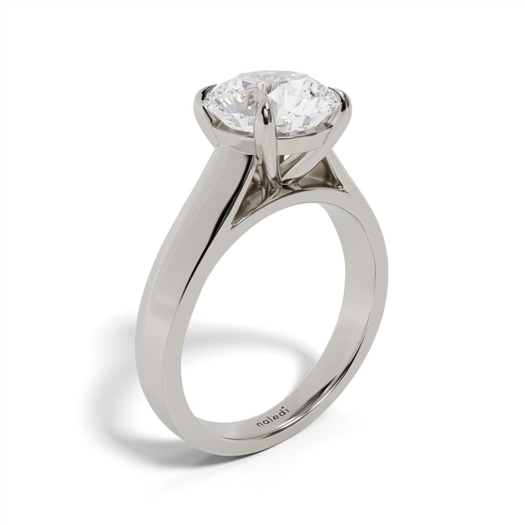 14K White Gold Cathedral Engagement Ring – Hidden Halo