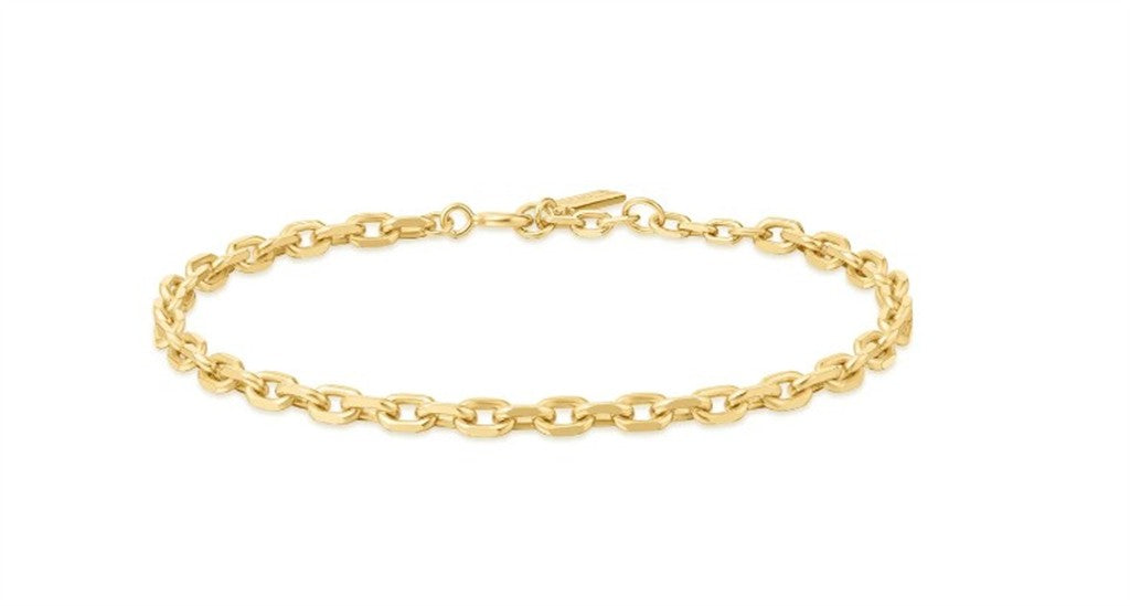 Ania Haie Gold Medium Chain Bracelet (6.5")