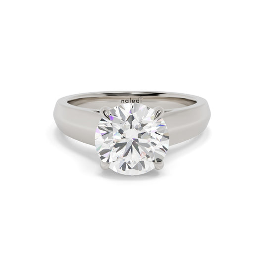 14K White Gold Cathedral Engagement Ring – Hidden Halo