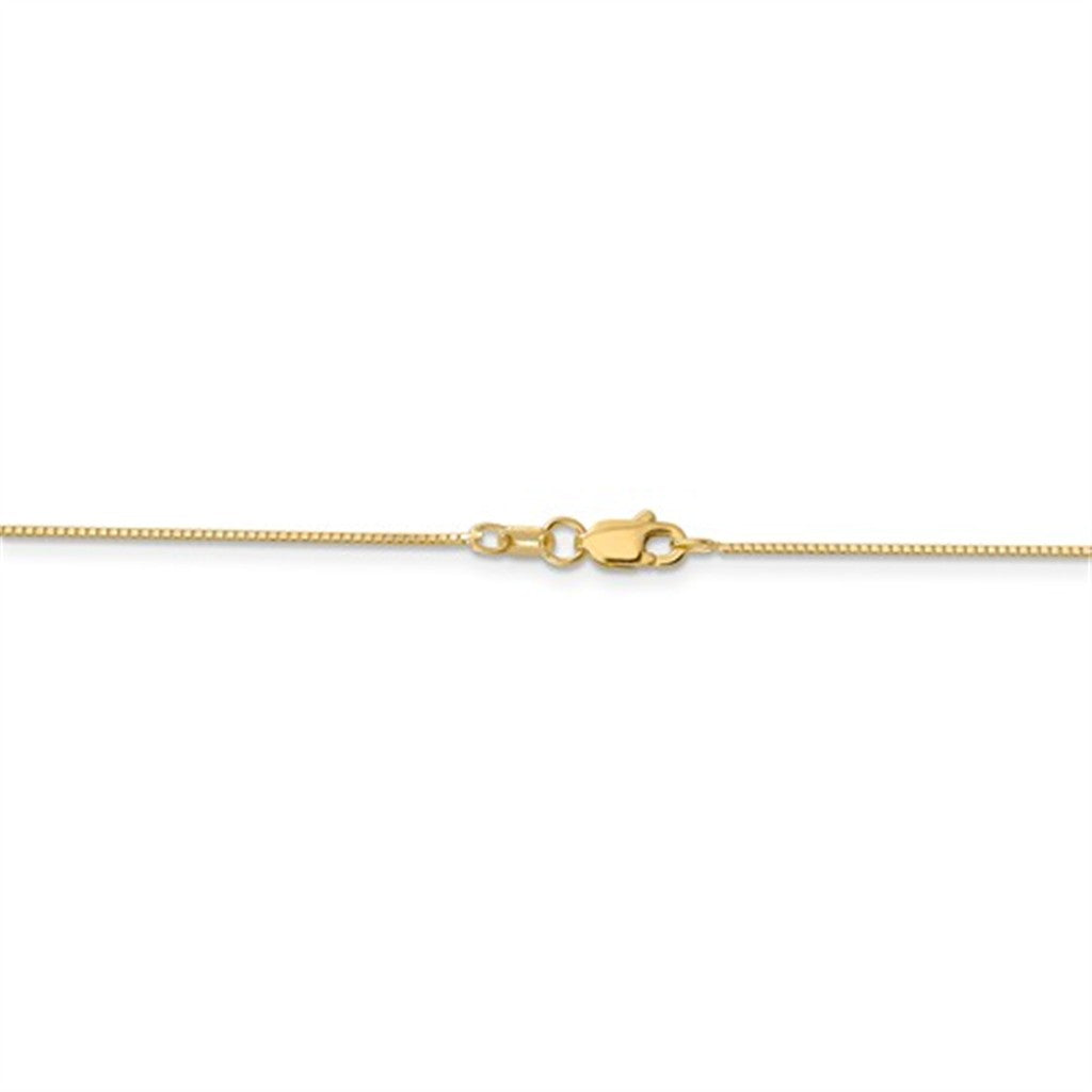 Classic 14K Yellow Gold Box Chain